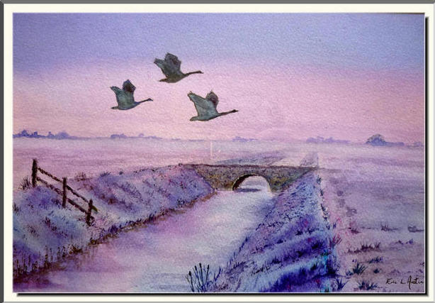 misty fenland morning