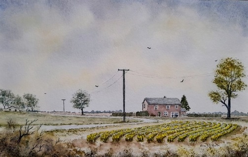 Spring in South Lincs