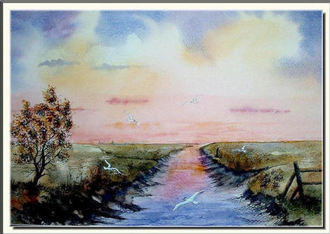 Seagulls on the Wash