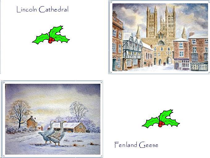 Fen Geese and Lincoln Cathedral